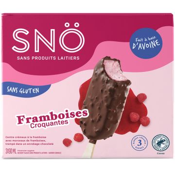 Dairy-free Frozen Dessert - Crunchy Raspberry Bars