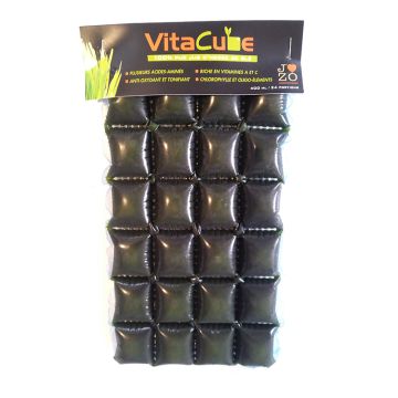 Vitacube - Wheat grass