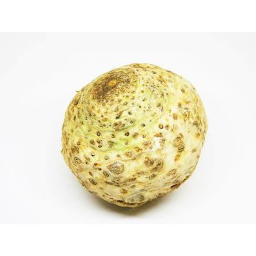 Organic Celeriac