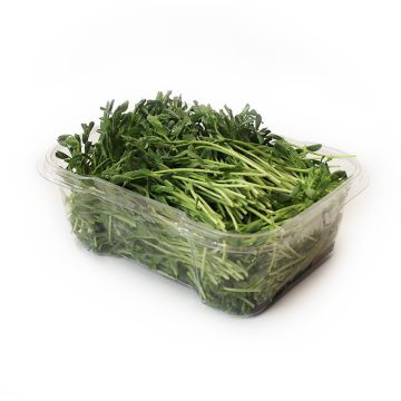 Organic Microgreens - Green Pea Microgreens