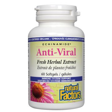 Echinacea - Anti-Viral Potent Fresh Herbal Extract