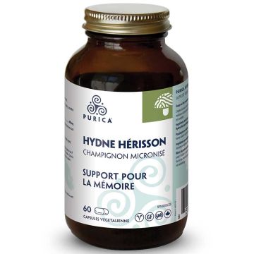 Hydne hérisson - Support pour la mémoire