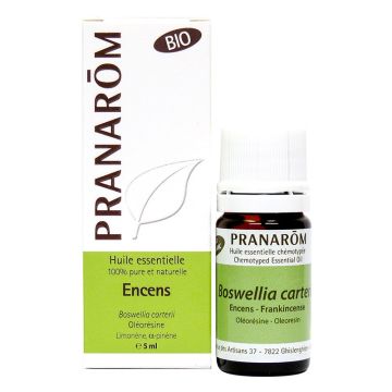 Essential oils - Frankincense  Boswellia carterii 