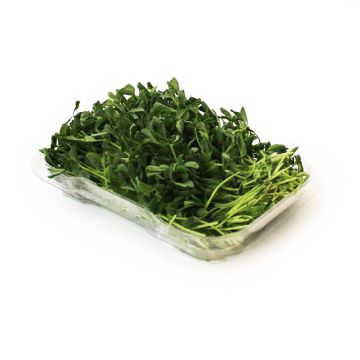 Organic Microgreens - Green Pea Microgreens