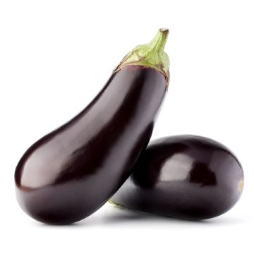 Organic Eggplant