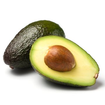 Organic Avocado