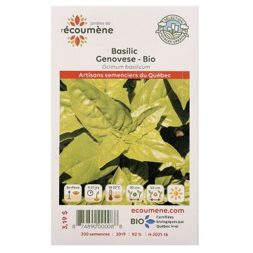 Organic seeds - Genovese Basil