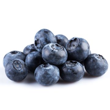 Organic Blueberrie  