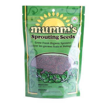 Sprouting seeds - Broccoli