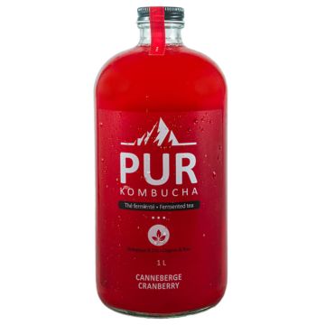 Organic Kombucha - Cranberry