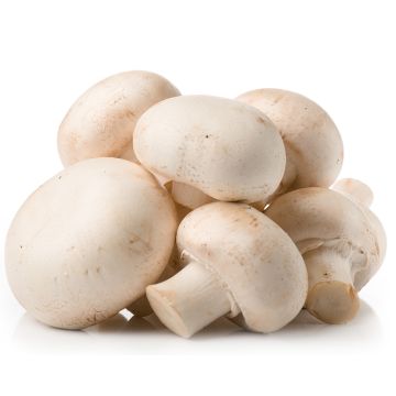 Organic White Mushrooms  