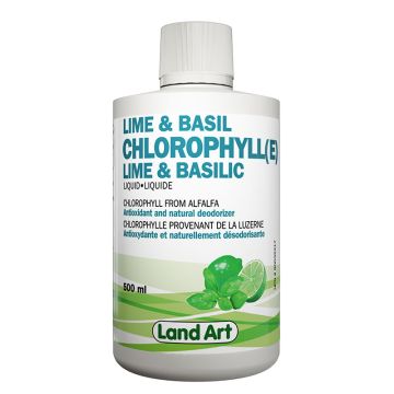 Chlorophyll - Lime and basil