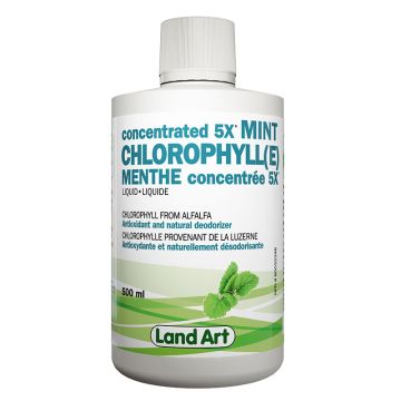 Chlorophyll - Concentrated 5X mint