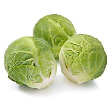 Organic Brussels Sprouts