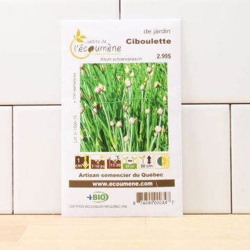 Herbaceous organic - Chives from the Garden