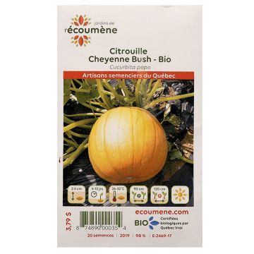 Vegetables organic  - Cheyenne bush pumpkin