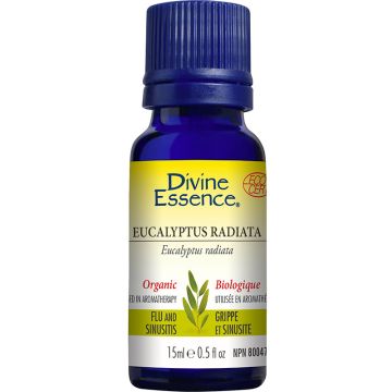 Essential Oil - Eucalyptus radiata