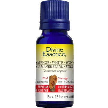 Essential Oil - White camphor (Cinnamomum camphora)