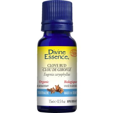 Essential Oil - Organic Clove Bud (Eugenia caryophyllus)