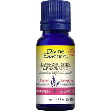 Essential Oil - Organic Lavender Spike (Lavandula latifolia (L. spica))