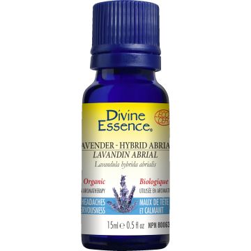 Essential Oil - Hybrid Abrial Lavender (Lavandula hybrida abrialis)