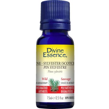 Essential Oil - Sylvester Pine (Pinus sylvestris)