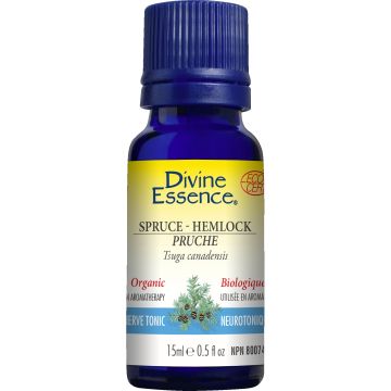 Essential Oil - Spruce Hemlock organic (Tsuga canadensis)