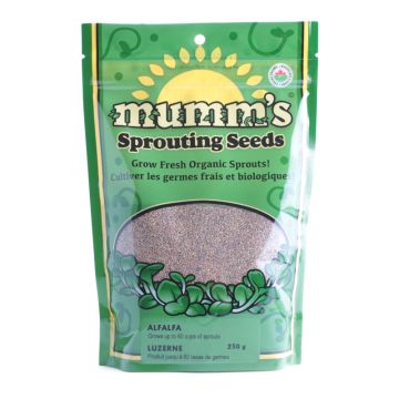 Sprouting seeds - Alfalfa