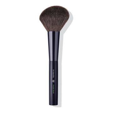 Brush - Powder