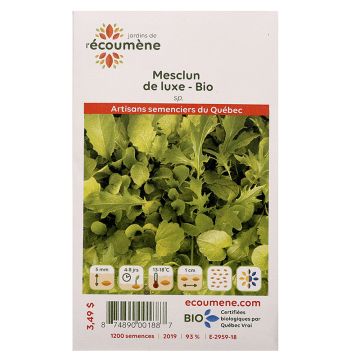 Organic lettuces - Luxury mesclun