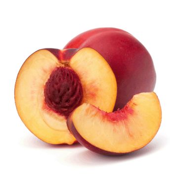 Organic Nectarine