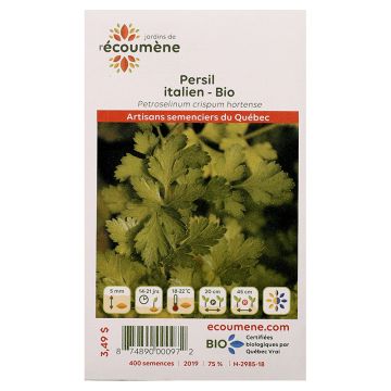 Organic seeds - Italian parsley