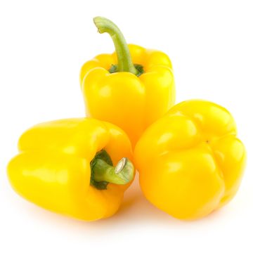 Organic Yellow Pepper