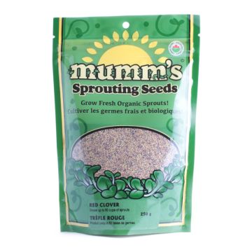 Sprouting seeds - Red clover